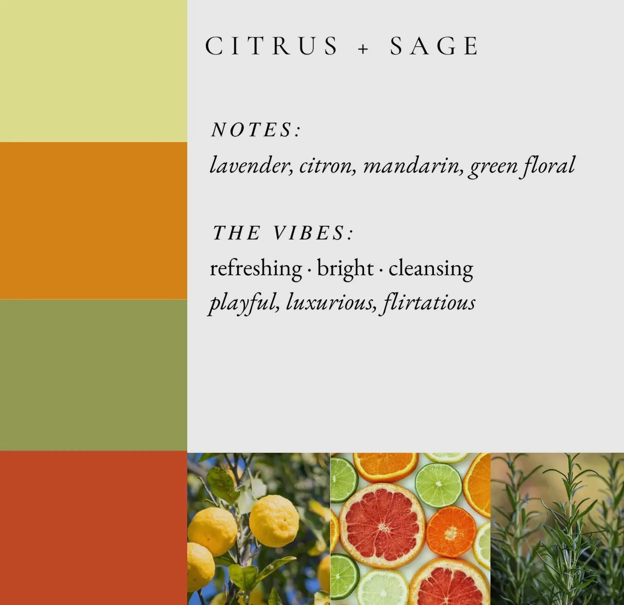 Citrus + Sage Kozy Candle